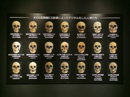 20250430205326-admin.jpg