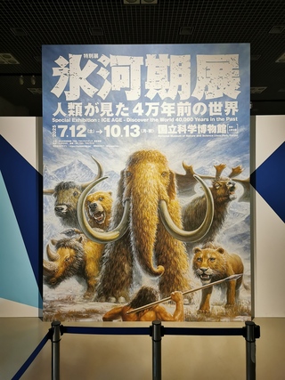 202508131934-admin.jpg