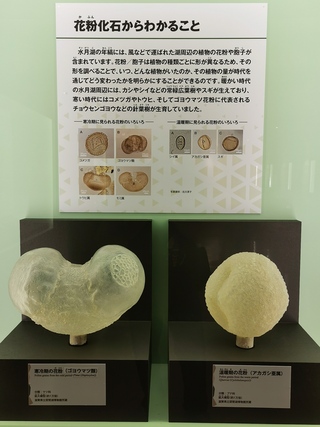 20250813193429-admin.jpg