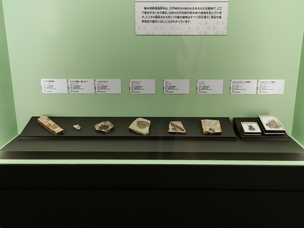 20250813193430-admin.jpg