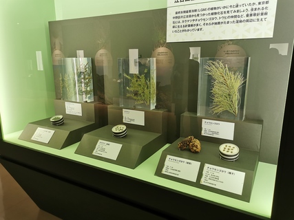 20250813193431-admin.jpg