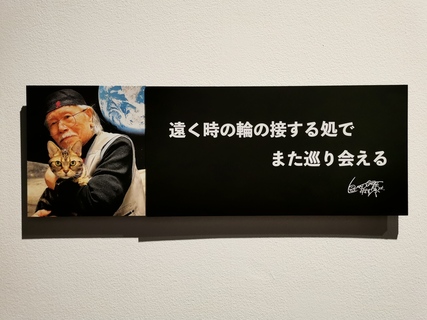 20250823204544-admin.jpg